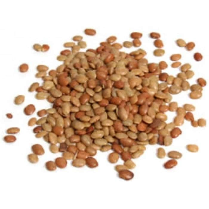 Horse gram-Sa1145