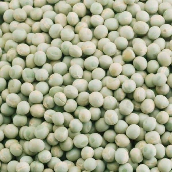 Peas-Sa1147