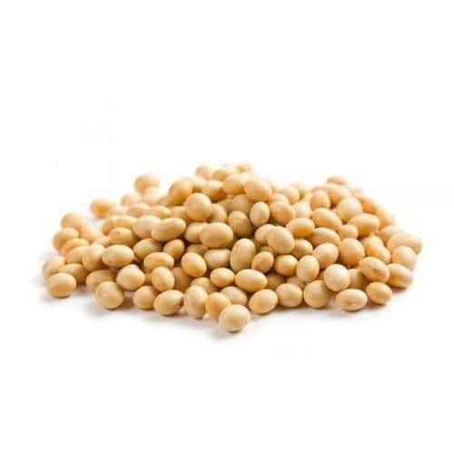 Soya bean-Sa1150