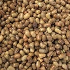 Turkish gram / Moth bean-Sa1151