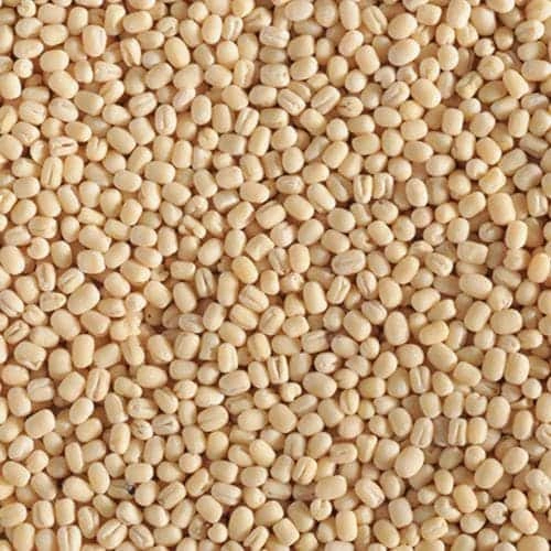 Urad Dal Gota-Sa1152