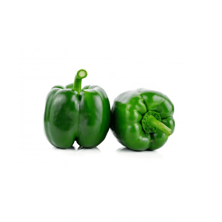 Bell Pepper-Sa1176