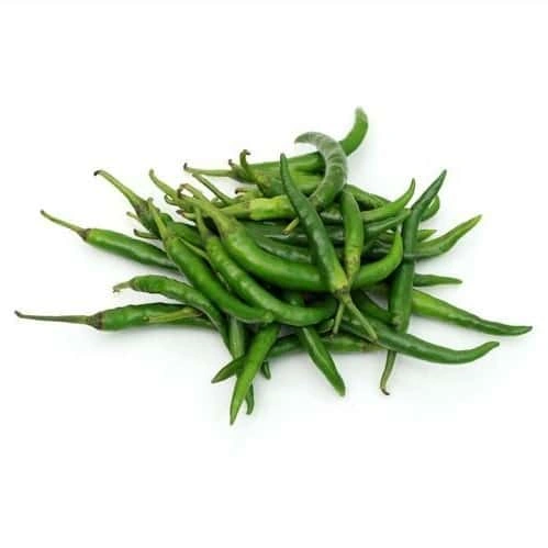 Green Chilli-Sa1190