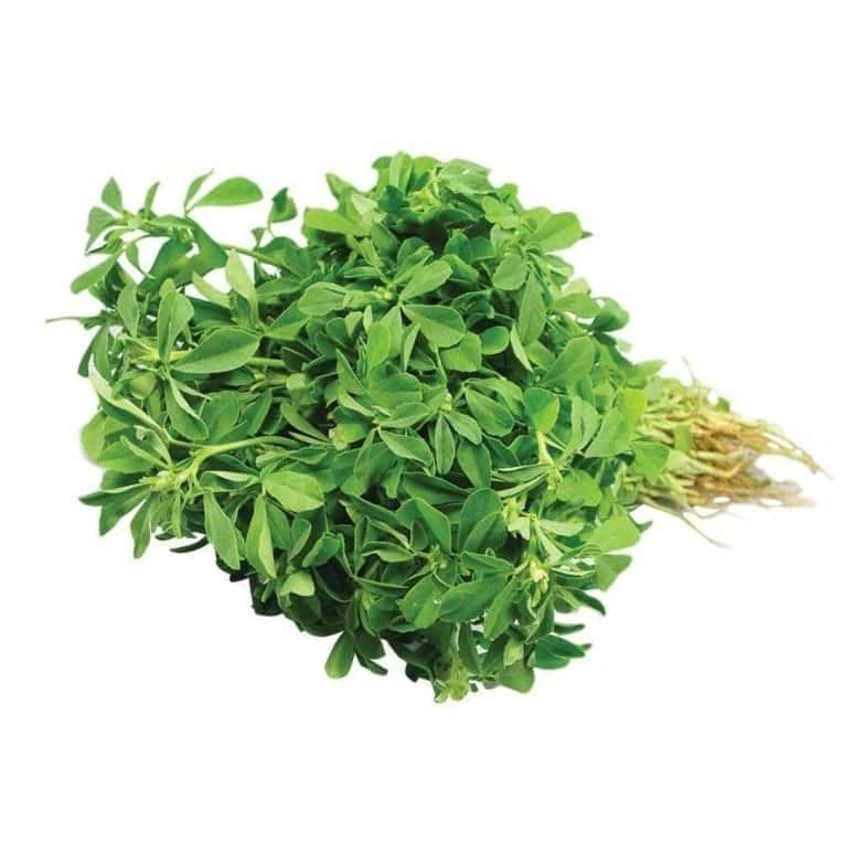 Methi / FenuGreek-Sa1194