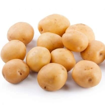 Potato-Sa1199