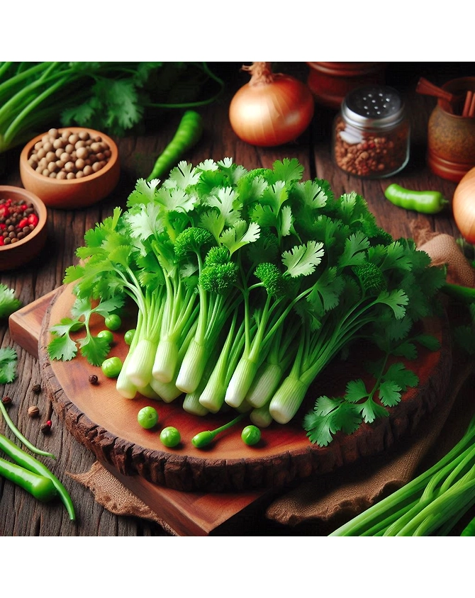 Coriander leaves-3