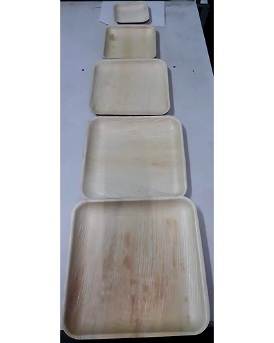 Arecanut Leaf Plates-2