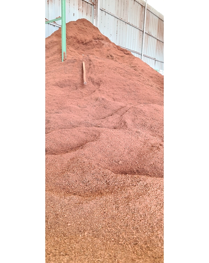 Cocopeat-5