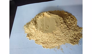 Garlic Powder