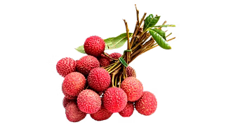 Litchi