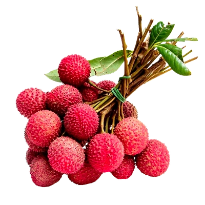 Litchi-11741806