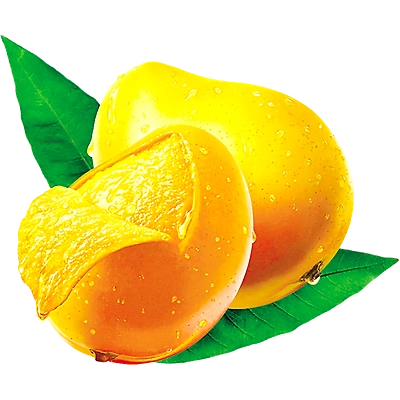 Mango-11748188