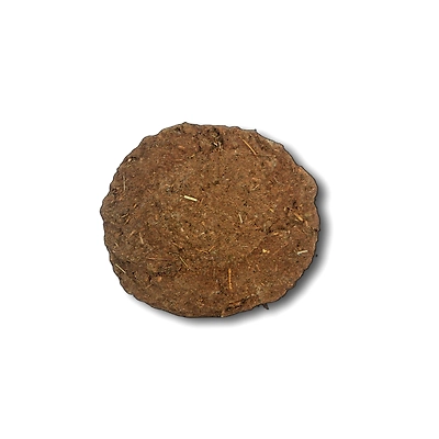 Cow Dung Cake-4