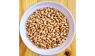 Premium Wheat