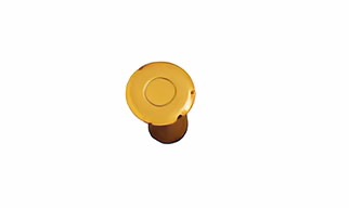 SOLID BRASS DUST PROOF SOCKETS