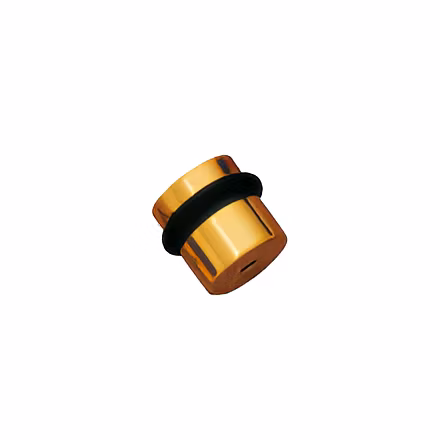 SOLID BRASS DOOR STOPPERS (Floor fixing, Ring Rubber )-12763091