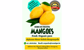 MANGOES