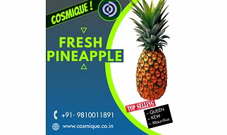 PINE APPLE