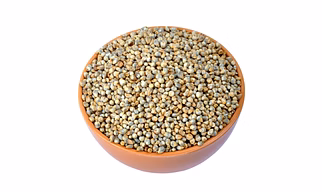 Millets (Bajra)