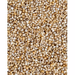 little millet