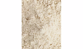 Foxtail Millet