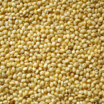 proso millet
