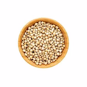 Sorghum Millet (Jowar)