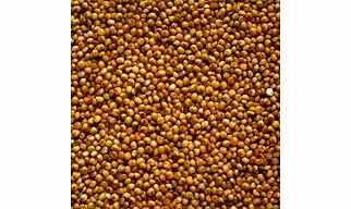 KODO MILLET