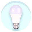 BULBS