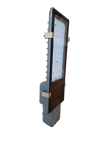 30W STREET LIGHT DOLPHIN