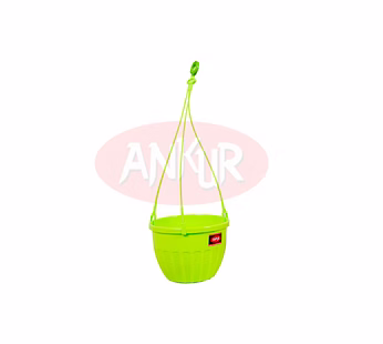Hanging Planter image 2