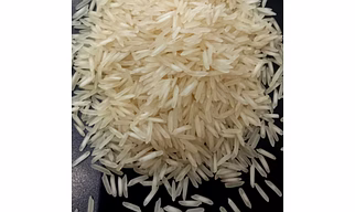 Basmati Rice 1121