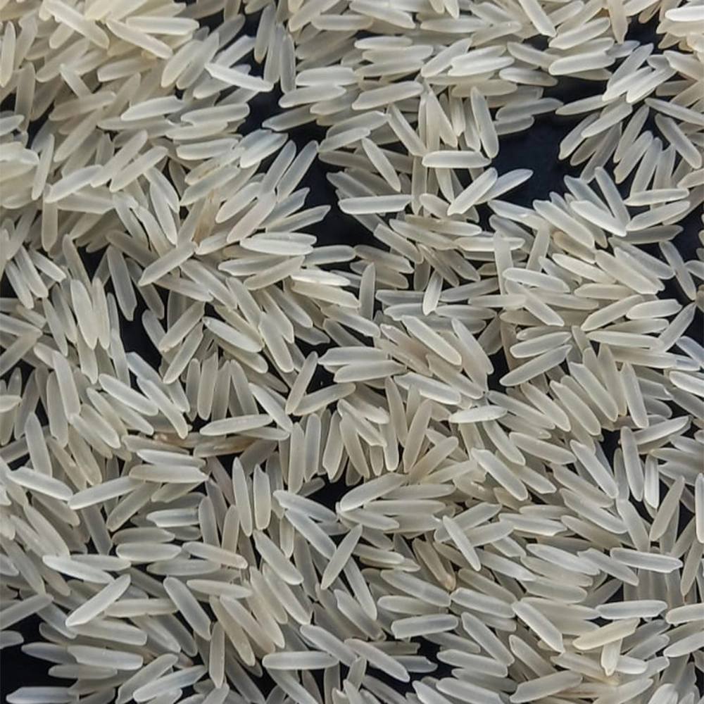 Basmati Rice 1718-BR-1718-SELLA