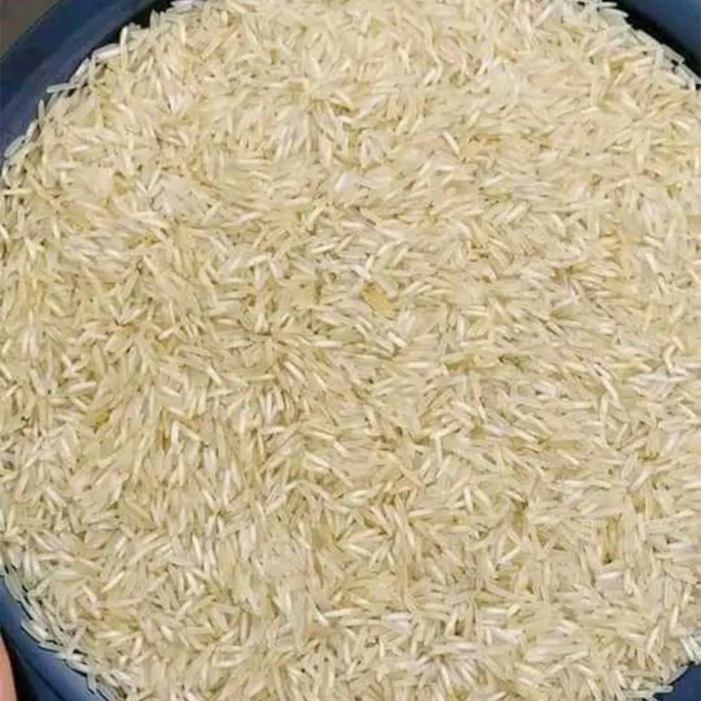 Basmati Rice 1509-BR-1509-STEAM