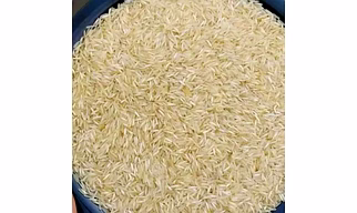Basmati Rice 1509
