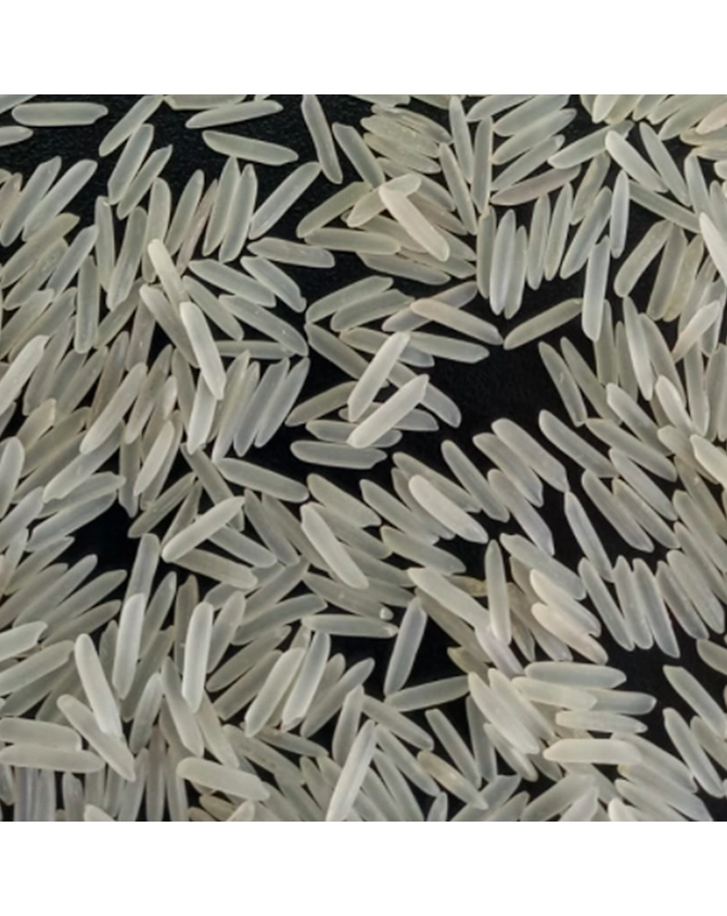 Basmati Rice 1509-BR-1509-SELLA