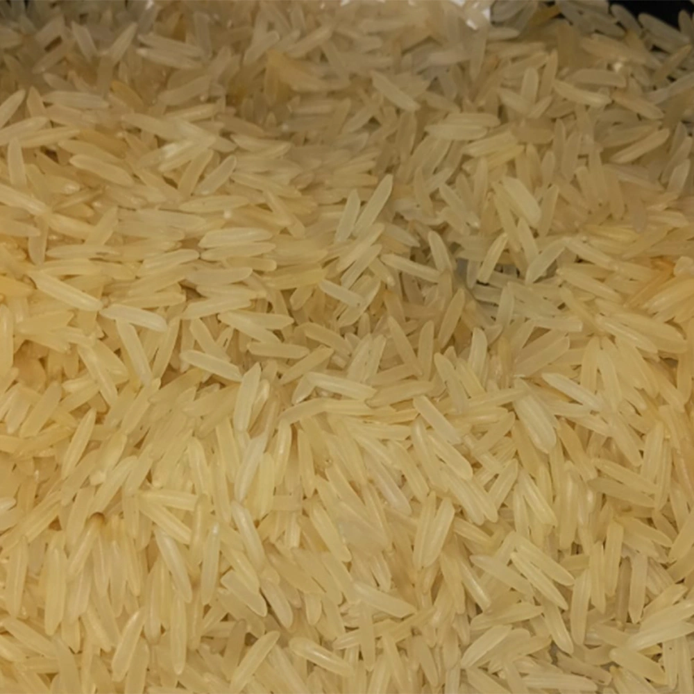 Basmati Rice 1509-BR-1509-G-SELLA