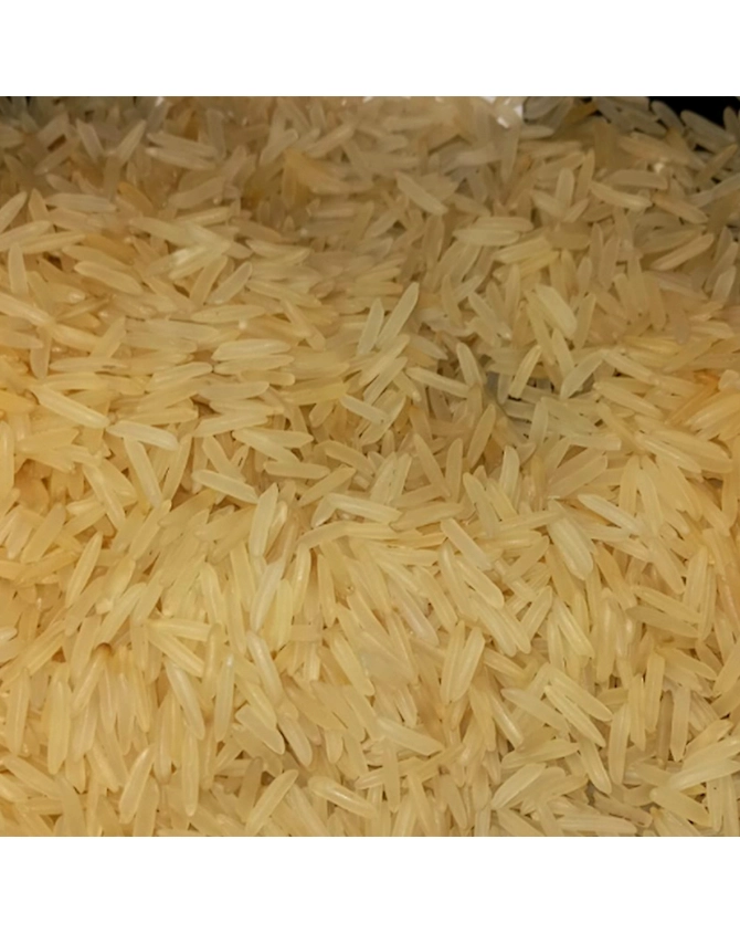 Basmati Rice 1509-BR-1509-G-SELLA