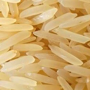 Basmati Rice 1401