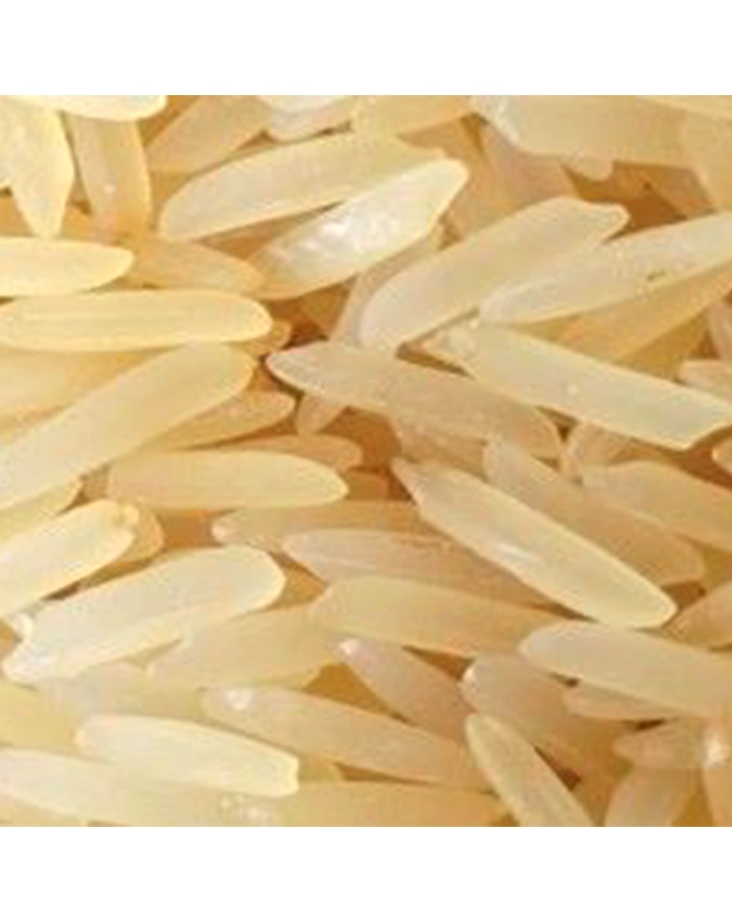 Basmati Rice Pusa-BR-PUSA-G-SELLA