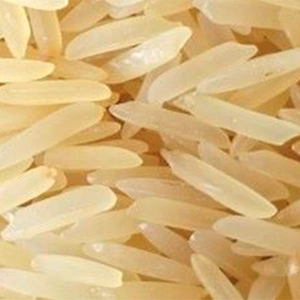Basmati Rice Pusa