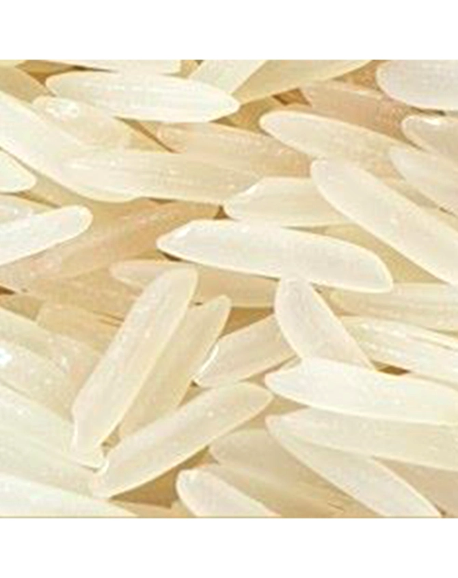 Non Basmati Rice Sugandha-NBR-SUGANDHA-SELLA