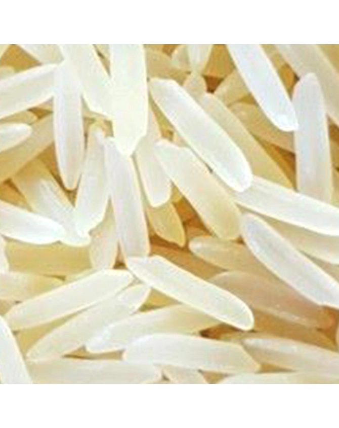 Non Basmati Rice Sugandha-NBR-SUGANDHA-G-SELLA
