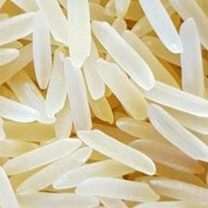 Non Basmati Rice Sugandha