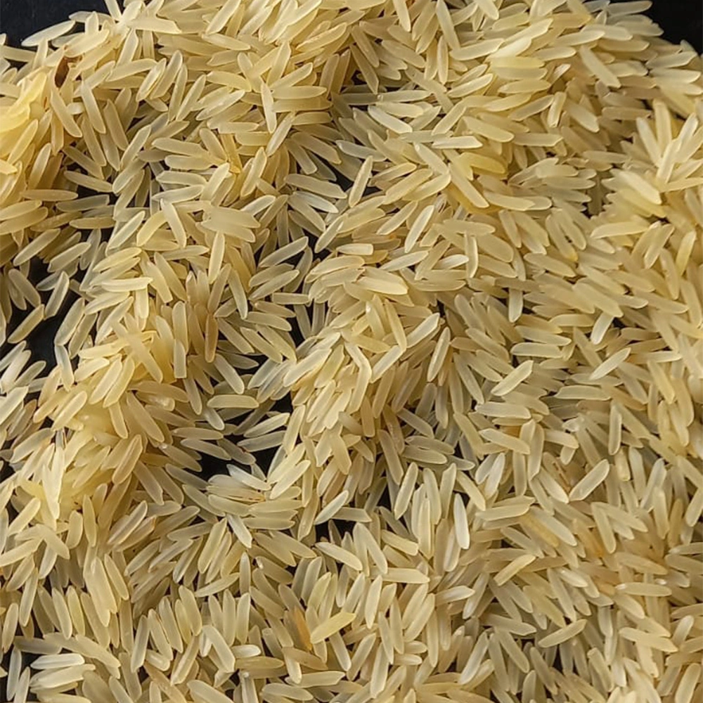 Non Basmati Rice Sharbati-NBR-SHARBATI-G-SELLA