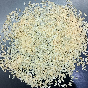 Non Basmati Rice IR64