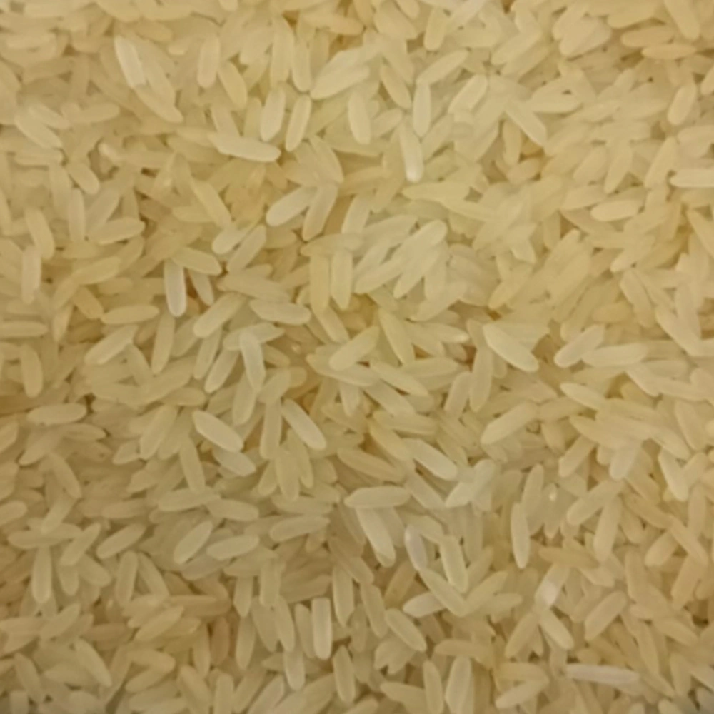 Non Basmati Rice IR64-NBR-IR64-G-SELLA