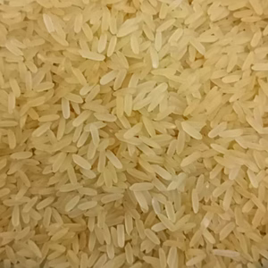 Non Basmati Rice IR64
