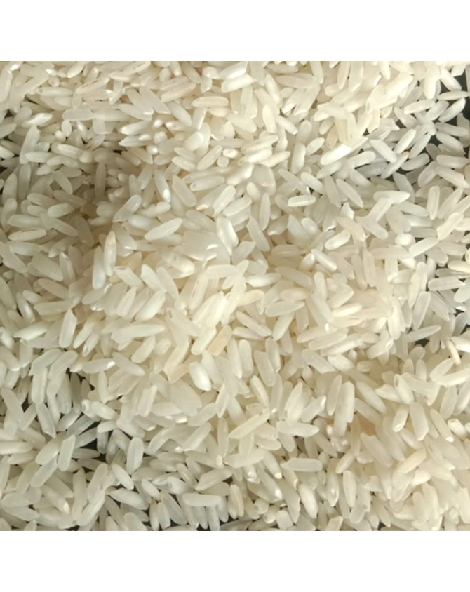Non Basmati Rice PR11-NBR-PR11-RAW