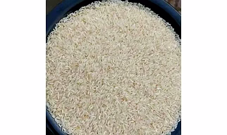 Non Basmati Rice PR11
